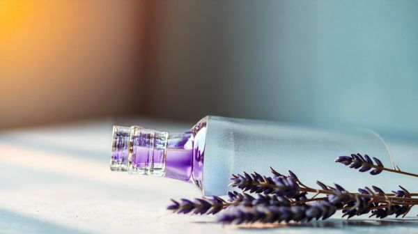 Découvrez 7 vertus surprenantes de l'huile essentielle de lavande